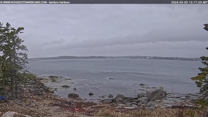 Sambro Harbour