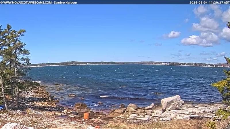 Sambro Harbour