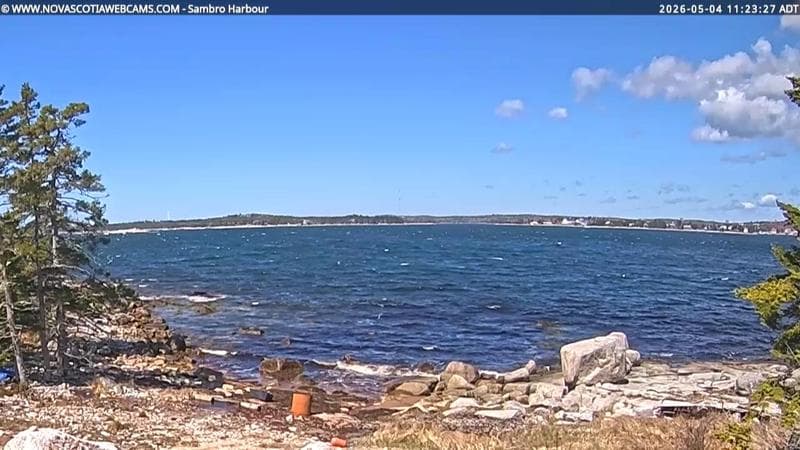Sambro Harbour