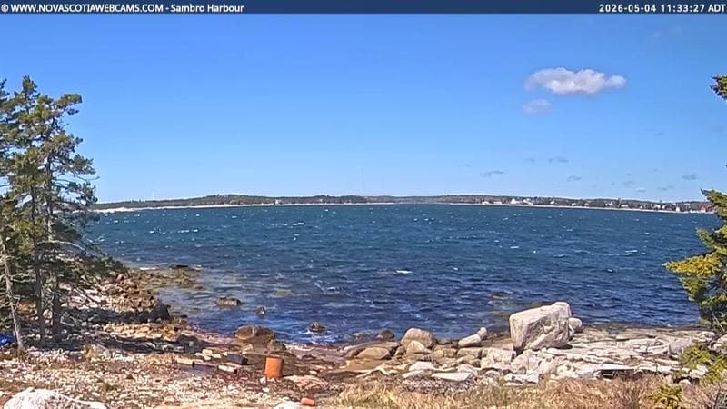 Sambro Harbour