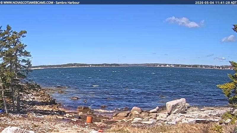 Sambro Harbour