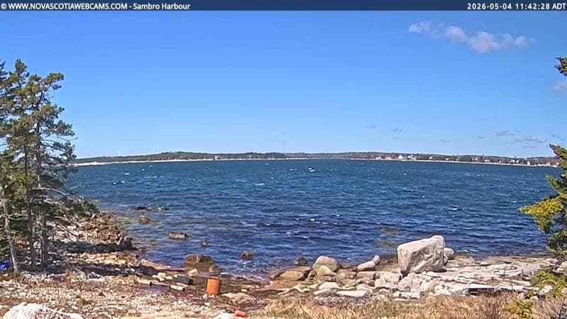 Sambro Harbour