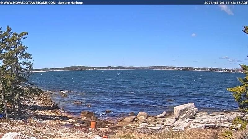 Sambro Harbour