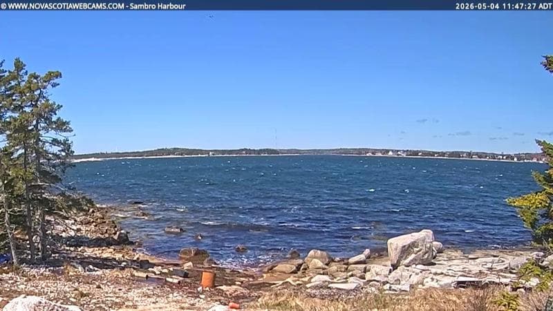 Sambro Harbour