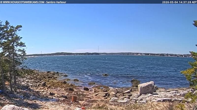 Sambro Harbour