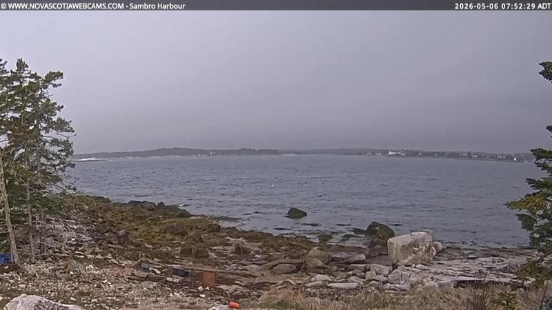 Sambro Harbour