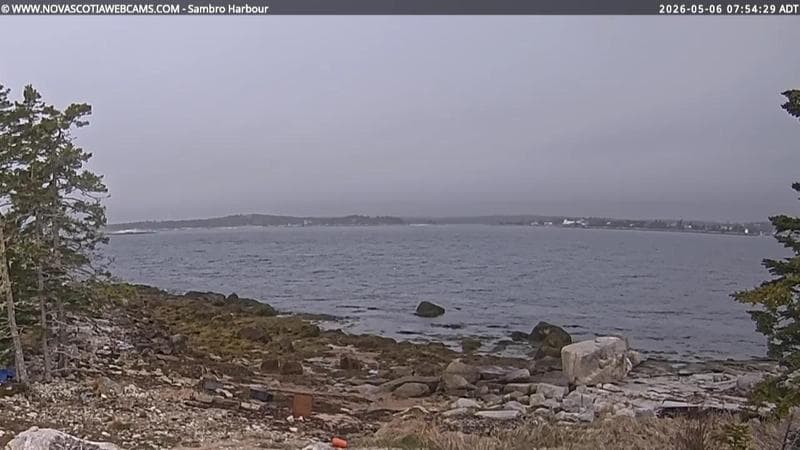 Sambro Harbour