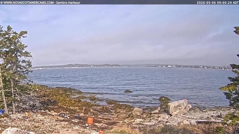 Sambro Harbour