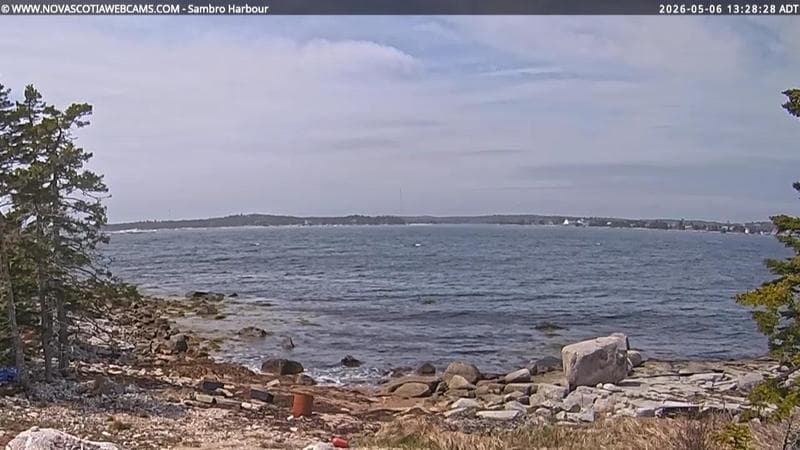 Sambro Harbour