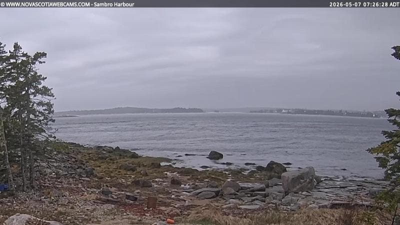 Sambro Harbour