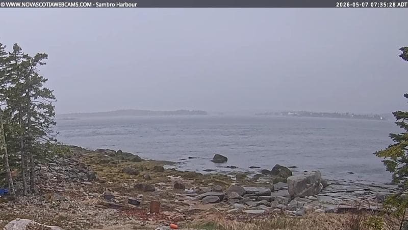 Sambro Harbour