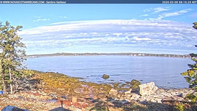 Sambro Harbour