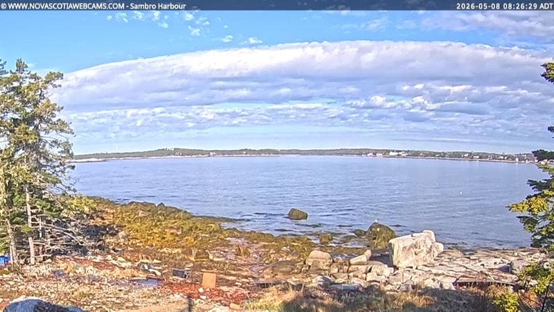 Sambro Harbour