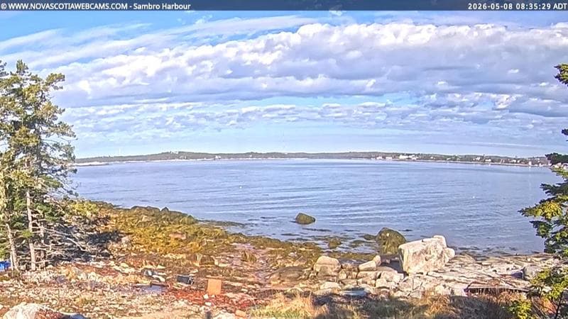 Sambro Harbour