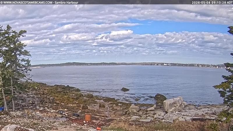 Sambro Harbour