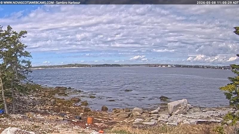 Sambro Harbour