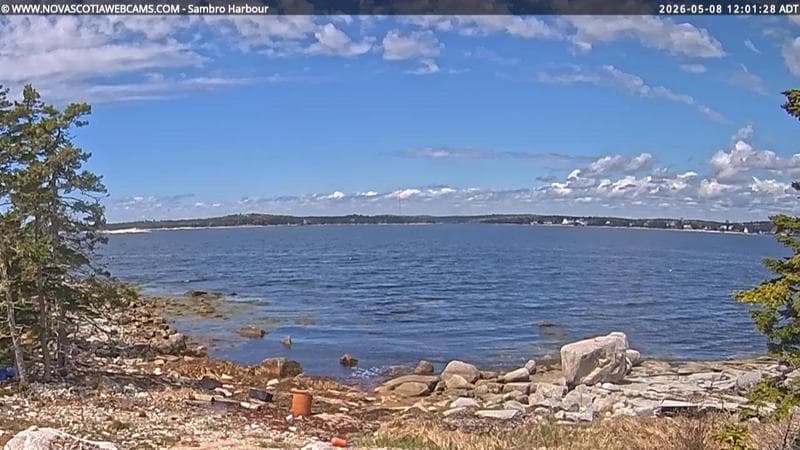 Sambro Harbour