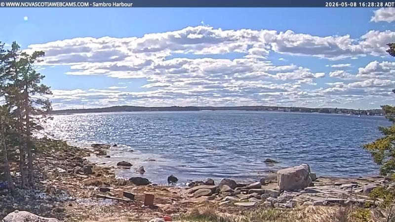 Sambro Harbour