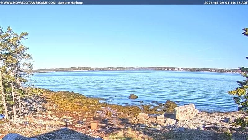 Sambro Harbour