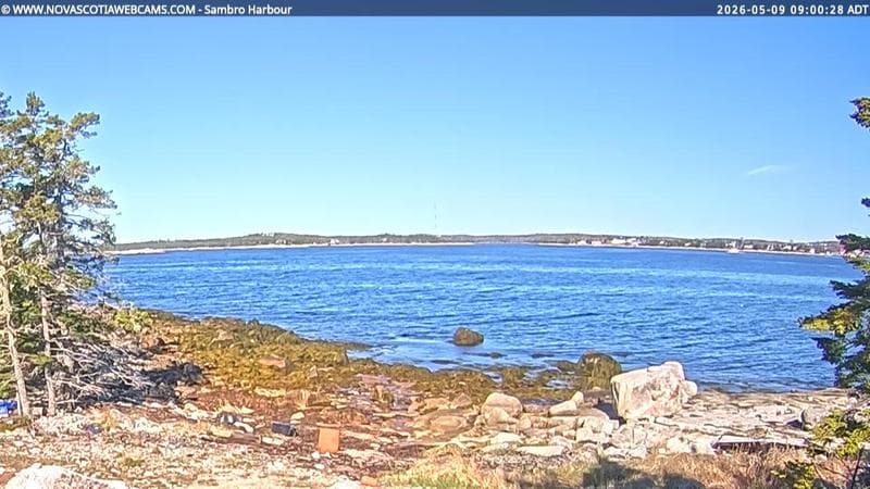 Sambro Harbour