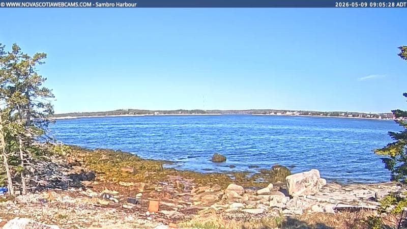 Sambro Harbour