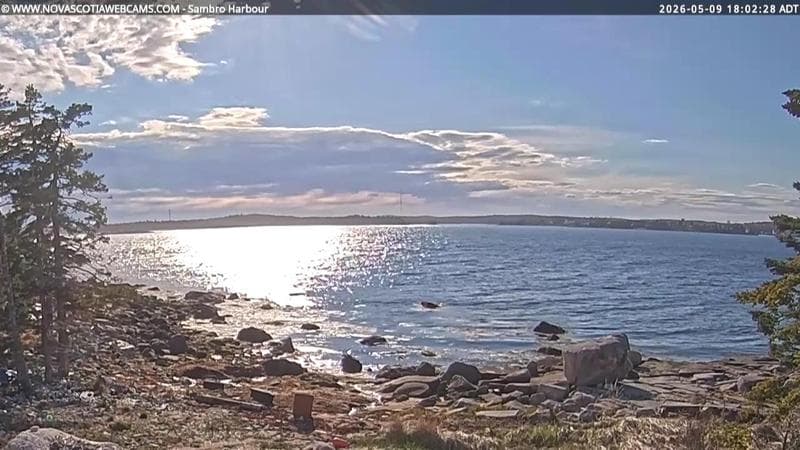 Sambro Harbour