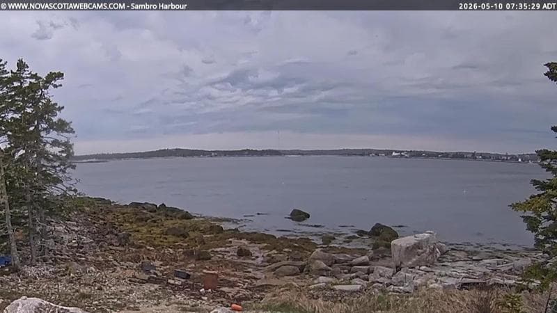 Sambro Harbour