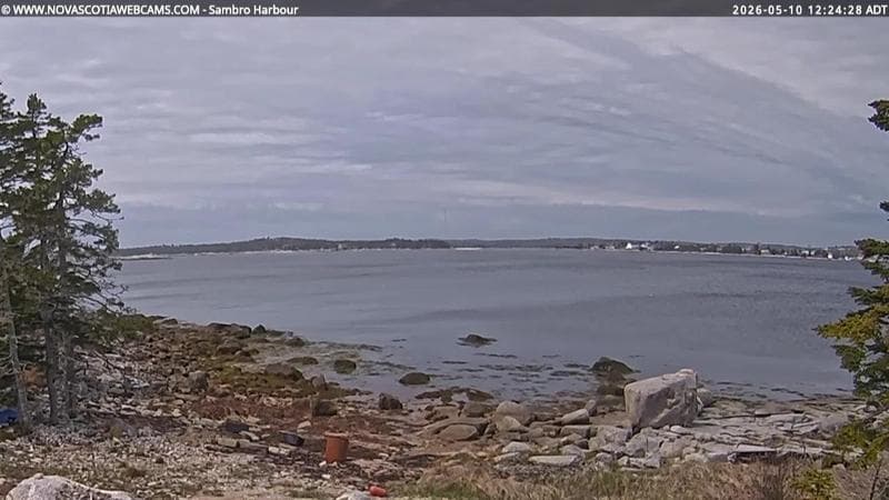 Sambro Harbour