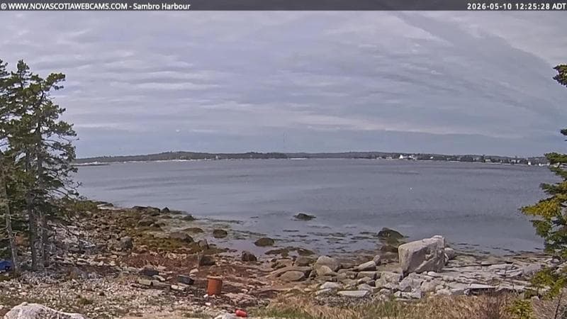 Sambro Harbour