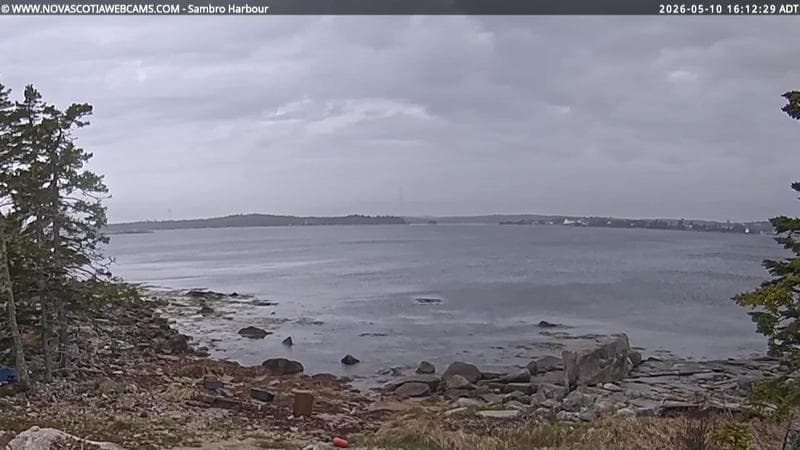 Sambro Harbour