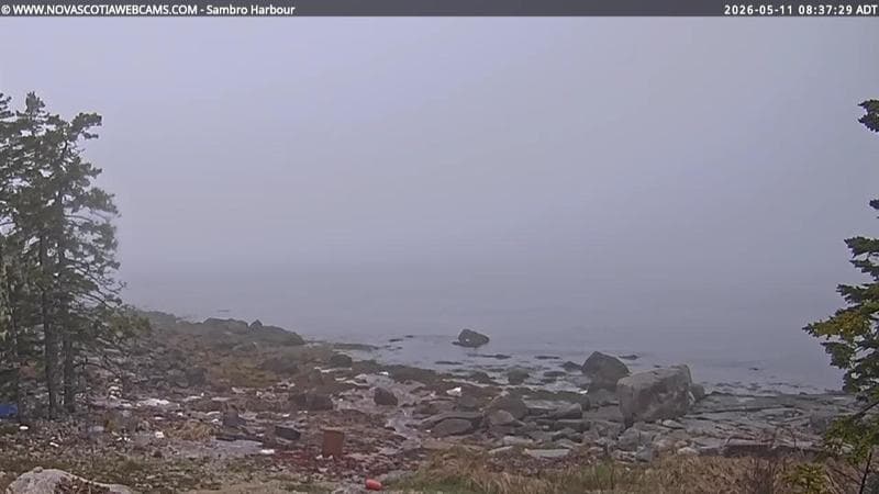 Sambro Harbour