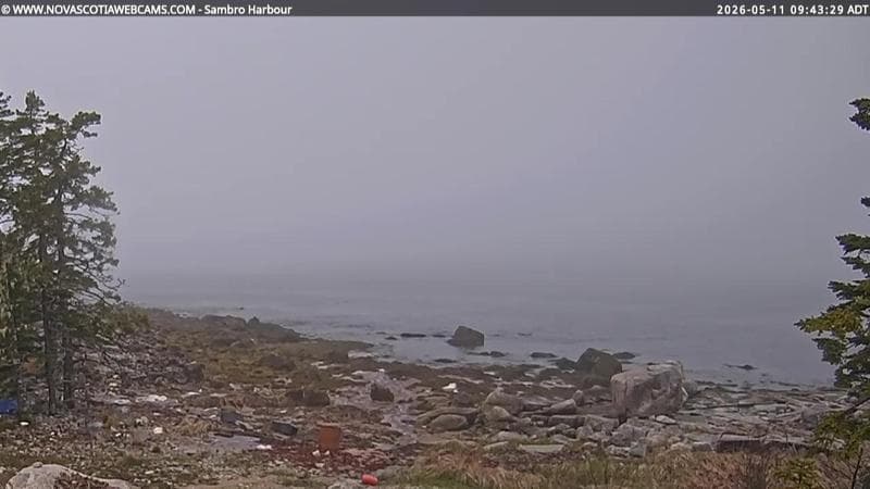 Sambro Harbour