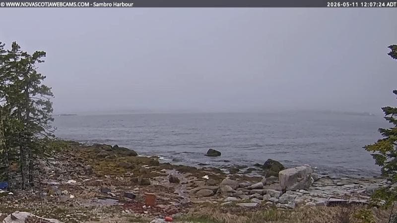 Sambro Harbour
