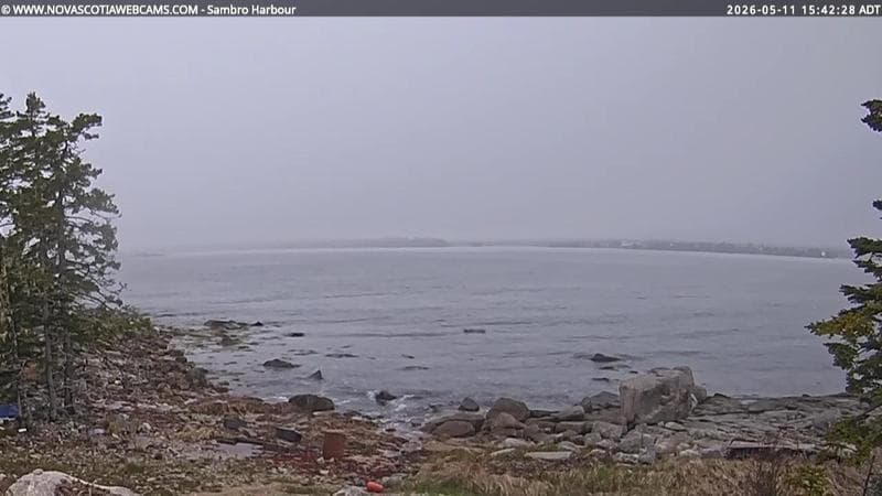Sambro Harbour