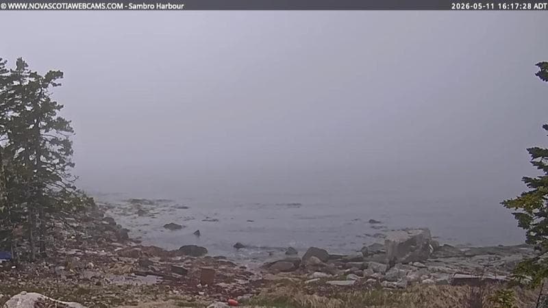 Sambro Harbour