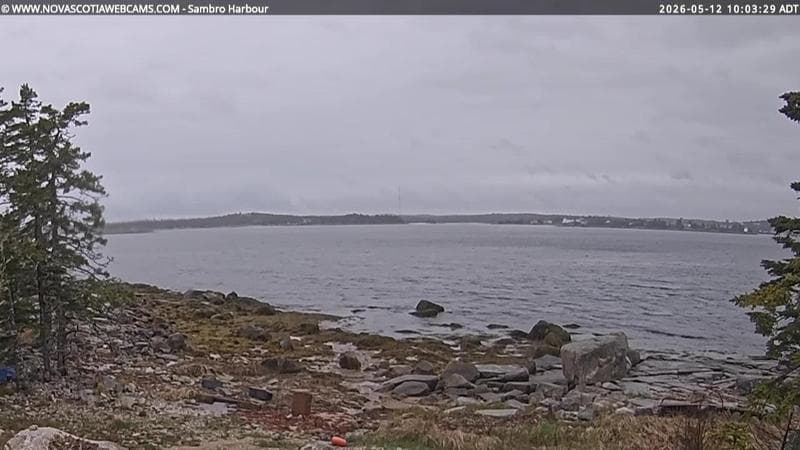 Sambro Harbour