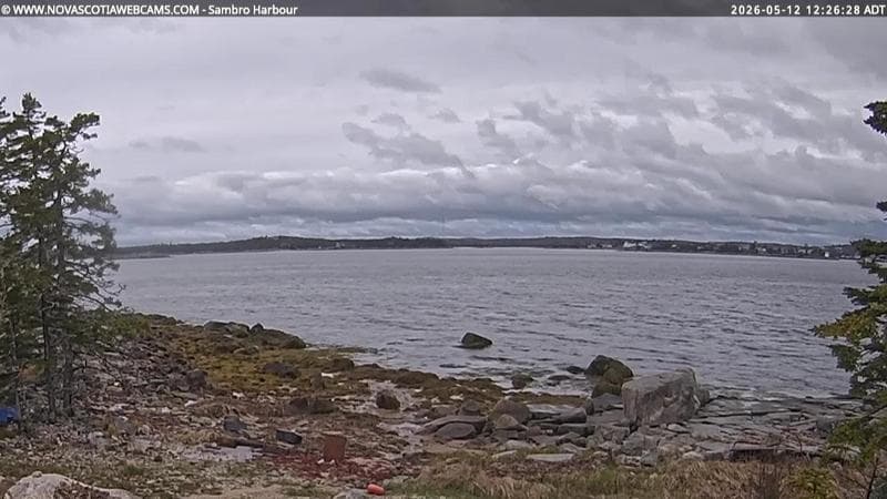Sambro Harbour