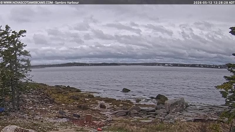 Sambro Harbour