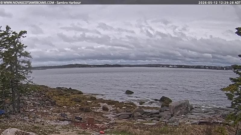 Sambro Harbour