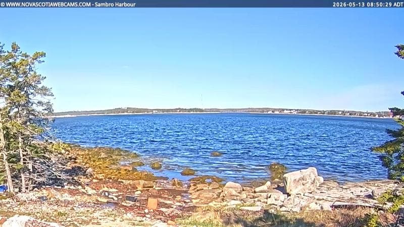 Sambro Harbour