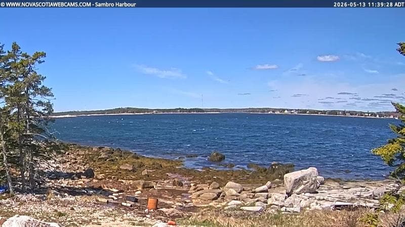 Sambro Harbour