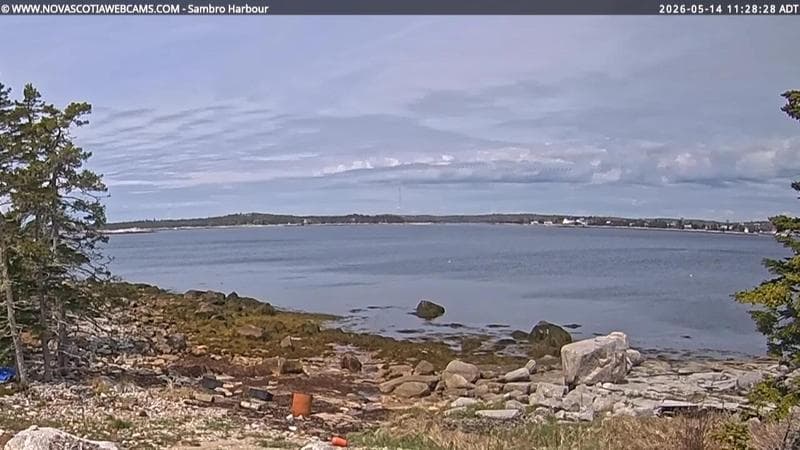 Sambro Harbour