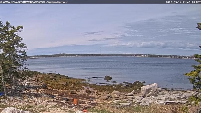Sambro Harbour