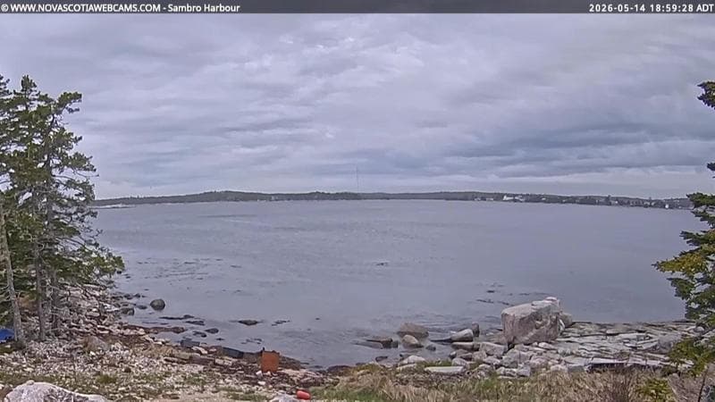 Sambro Harbour