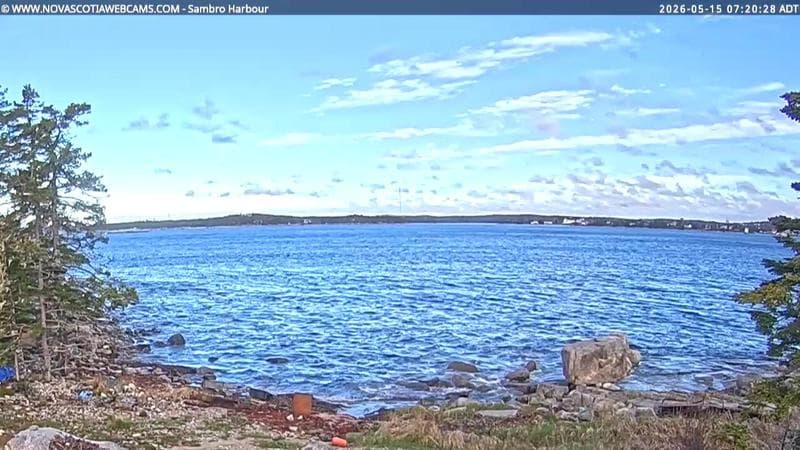 Sambro Harbour
