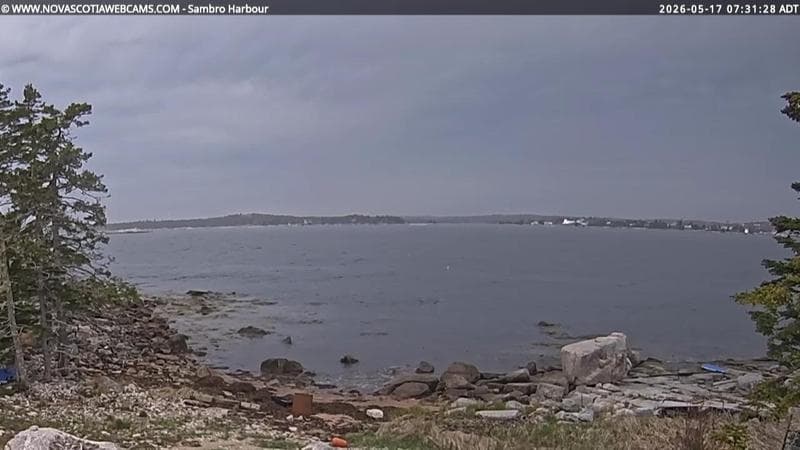 Sambro Harbour