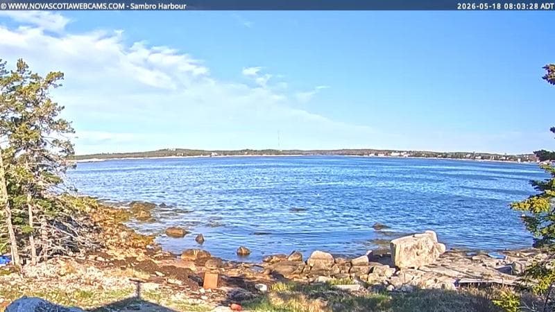 Sambro Harbour