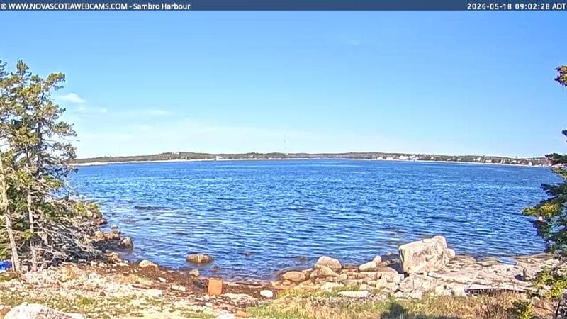 Sambro Harbour