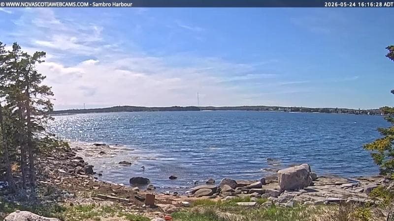 Sambro Harbour