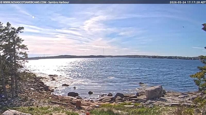 Sambro Harbour